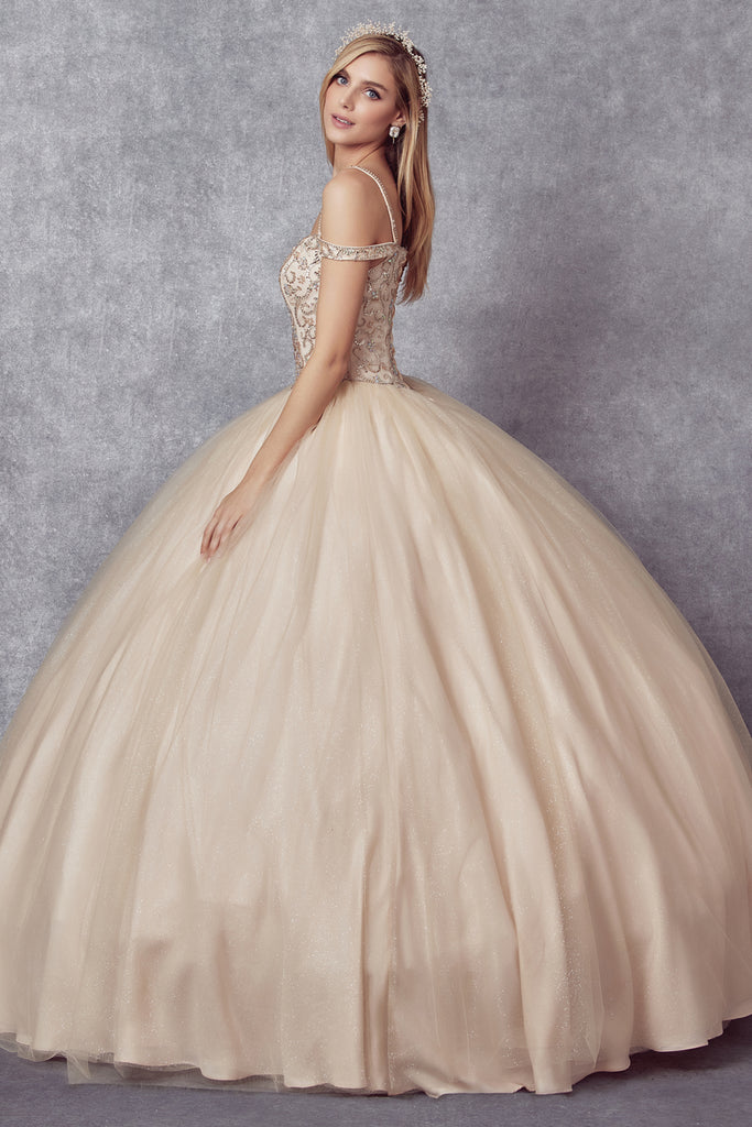 Off Shoulder Embroidered Lace Long Quinceanera Dress JT1426