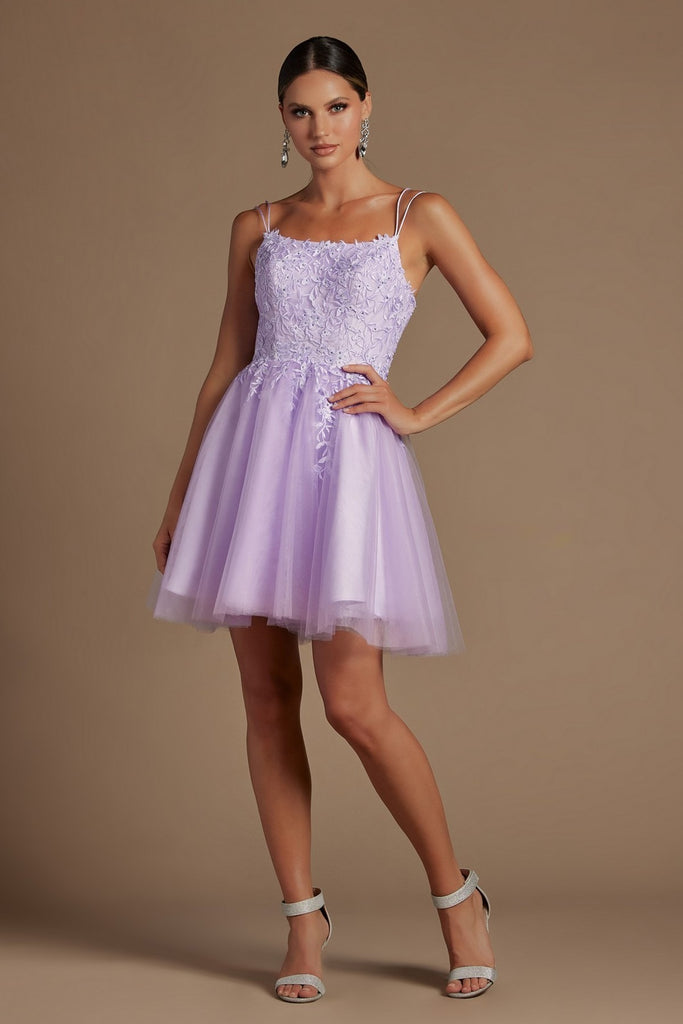 Embroidered Bodice Babydoll Corset Short Homecoming & Cocktail Dress NXT718