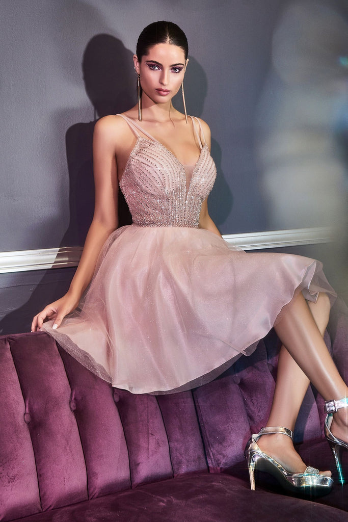 A-line Short Cocktail & Homecoming Dress Embellished Sleeveless Bodice Layered Tulle Glitter Skirt Playful Backless Style CDCD0148
