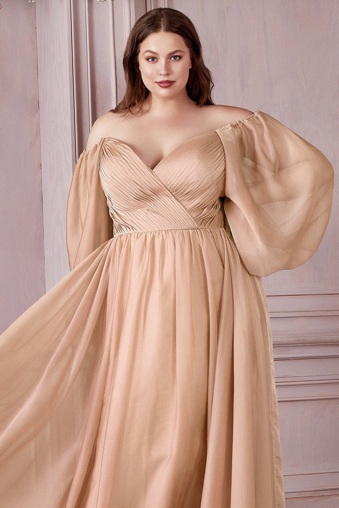 Classic Evening & Prom Dresses Long Sleeves Bodice A-line Chiffon Gown Plus Size Luxury Royal Style CDCD243C Sale