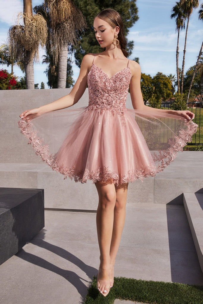Spaghetti Straps A-Line Lace Tulle Shord Cocktail & Homecoming Dress CDCD0213
