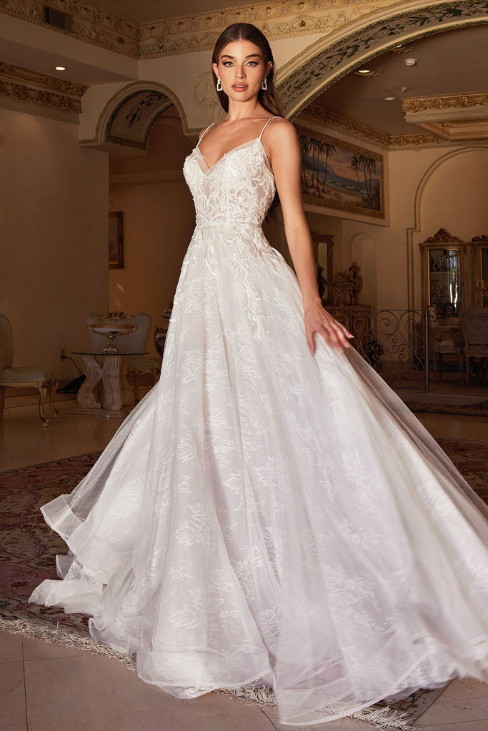 A-Line Chantilly Lace Bridal Illusion V-Neck Open Back Long Wedding Gown CDA1102W