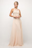 Effortless A-line Chiffon Prom & Evening Gown Embroidered Halter Neck Bodice Detailed Back Cut Formal Elegant Style CDUJ0120